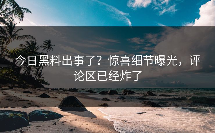 今日黑料出事了？惊喜细节曝光，评论区已经炸了