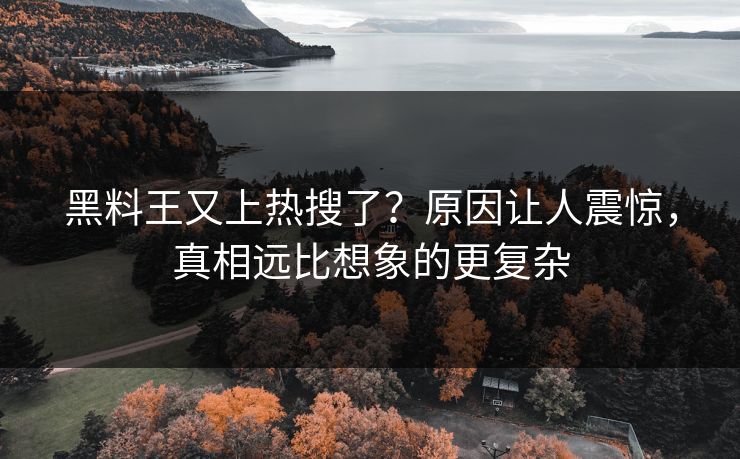 黑料王又上热搜了？原因让人震惊，真相远比想象的更复杂