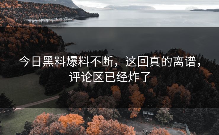 今日黑料爆料不断，这回真的离谱，评论区已经炸了  第1张
