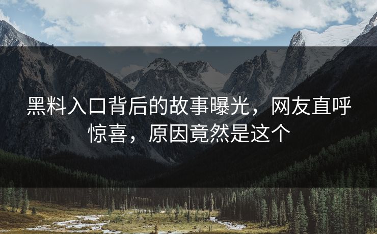 黑料入口背后的故事曝光，网友直呼惊喜，原因竟然是这个  第1张