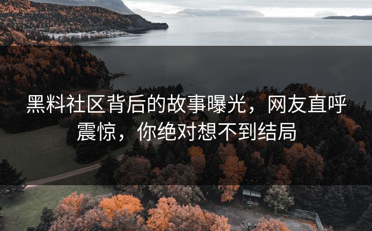 黑料社区背后的故事曝光，网友直呼震惊，你绝对想不到结局