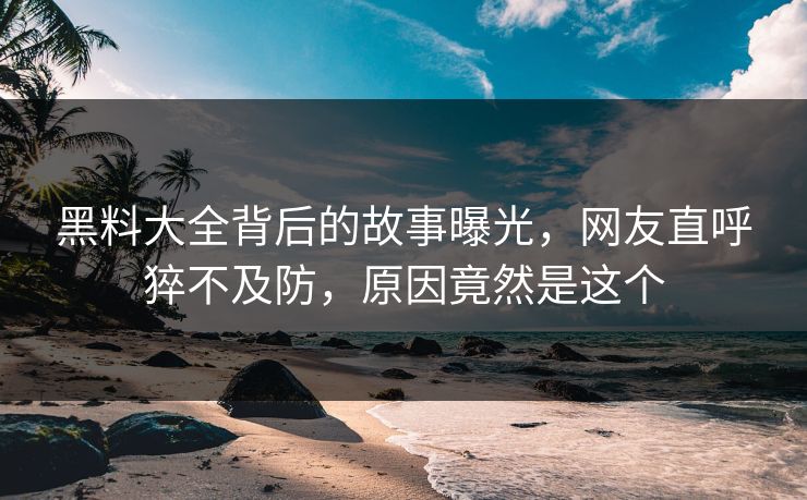 黑料大全背后的故事曝光，网友直呼猝不及防，原因竟然是这个  第1张