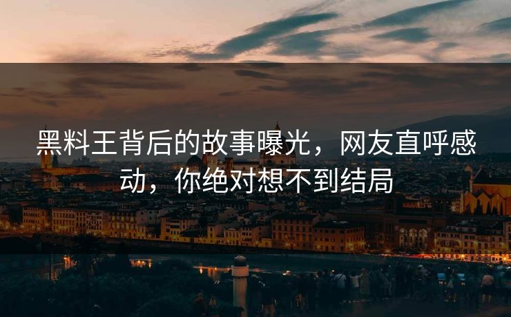 黑料王背后的故事曝光，网友直呼感动，你绝对想不到结局