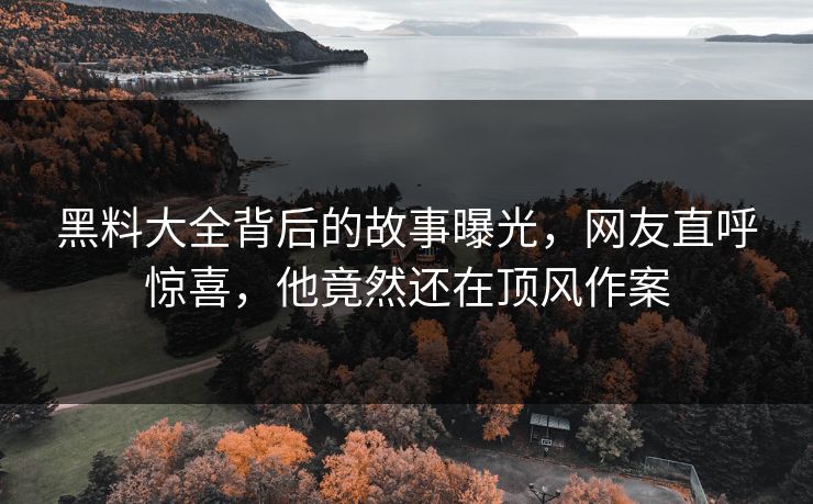 黑料大全背后的故事曝光，网友直呼惊喜，他竟然还在顶风作案