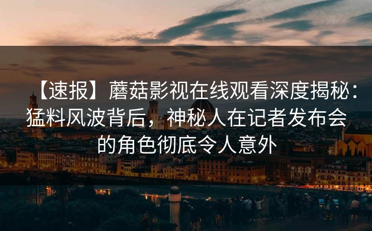 【速报】蘑菇影视在线观看深度揭秘：猛料风波背后，神秘人在记者发布会的角色彻底令人意外