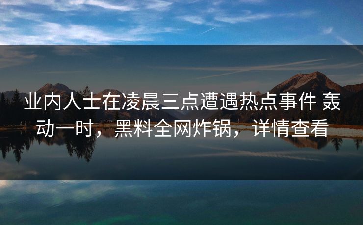 业内人士在凌晨三点遭遇热点事件 轰动一时，黑料全网炸锅，详情查看