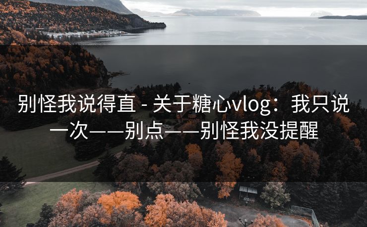 别怪我说得直 - 关于糖心vlog：我只说一次——别点——别怪我没提醒