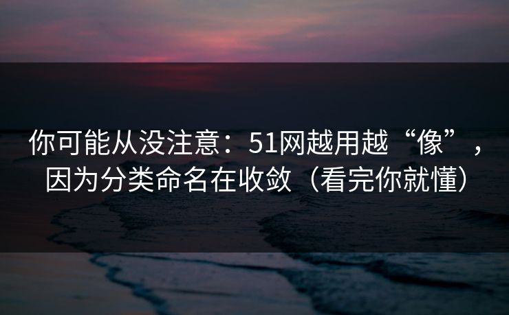 你可能从没注意:51网越用越“像”,因为分类命名在收敛(看完你就懂)